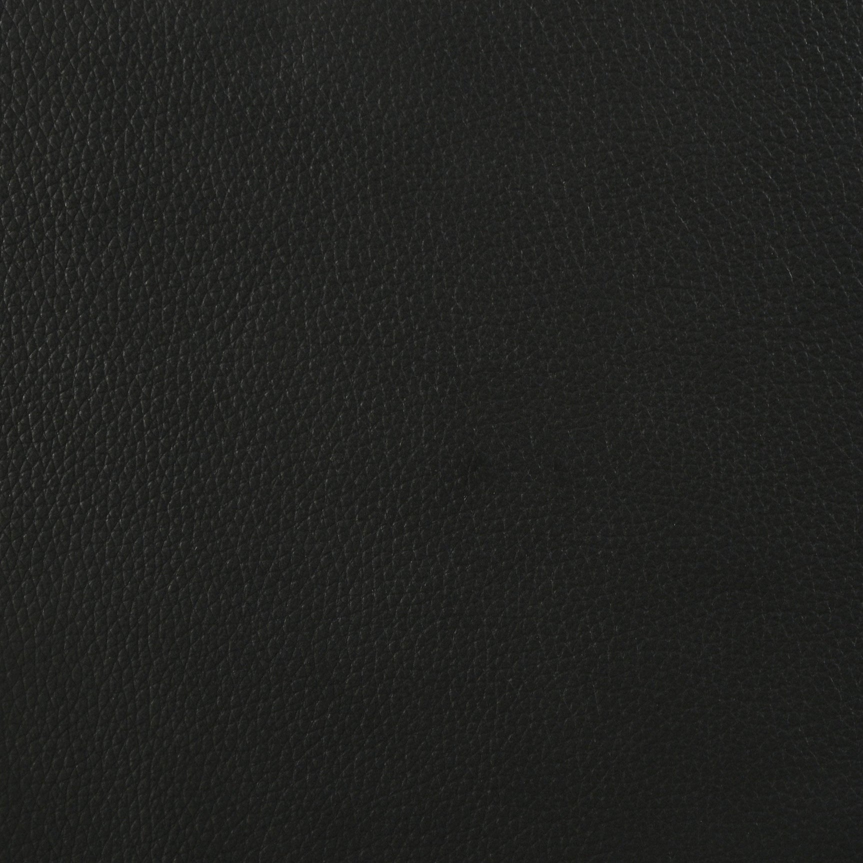 Medley Genuine Leather Queen Panel Platform Bed Black