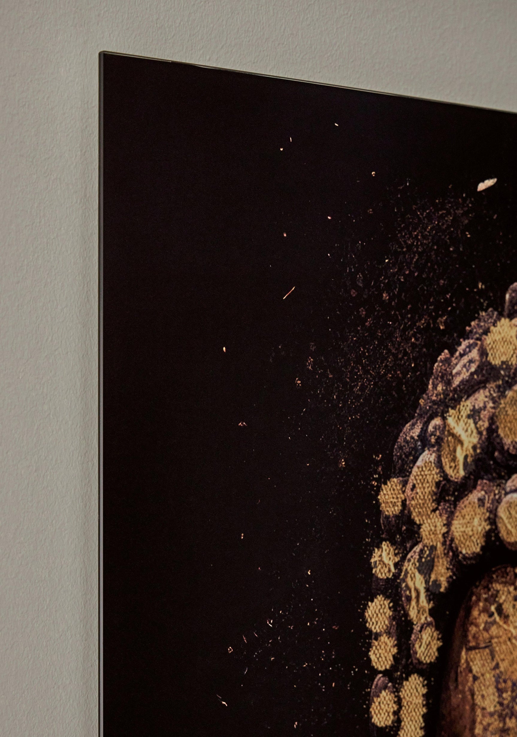 Caymoore Black Gold Finish Wall Art