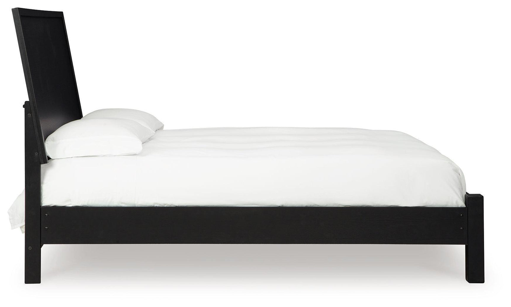 Danziar Black Queen Panel Bed