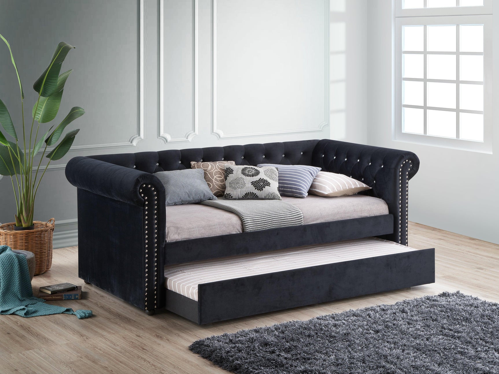 Ellie Black Modern Transitional Velvet Tufted Trundle Daybed - Ella Furniture