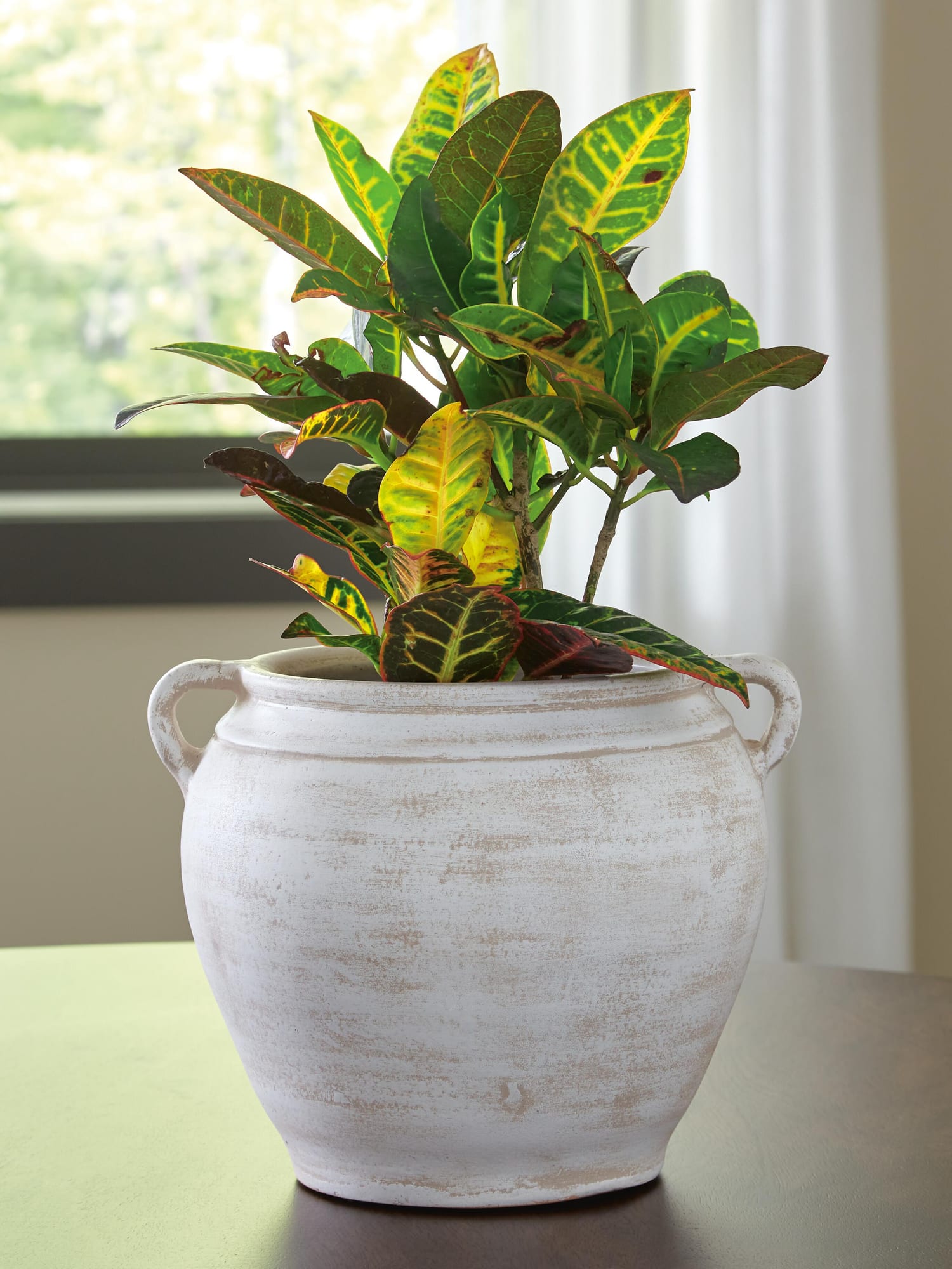 Meadie Distressed White Vase from Ella Furniture