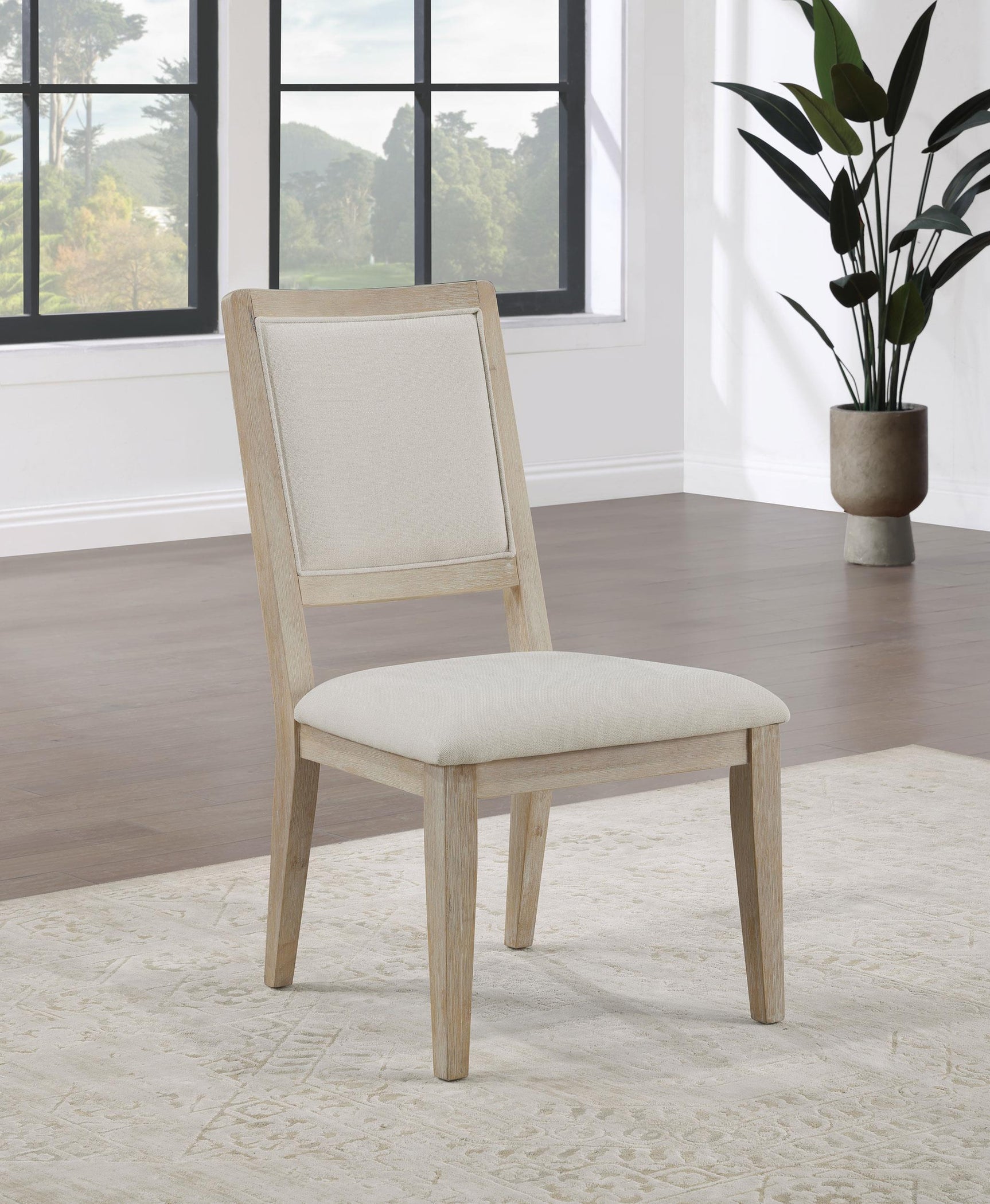 Trofello Cushioned Dining Side Chair White Washed (Set of 2) 123122 - Ella Furniture