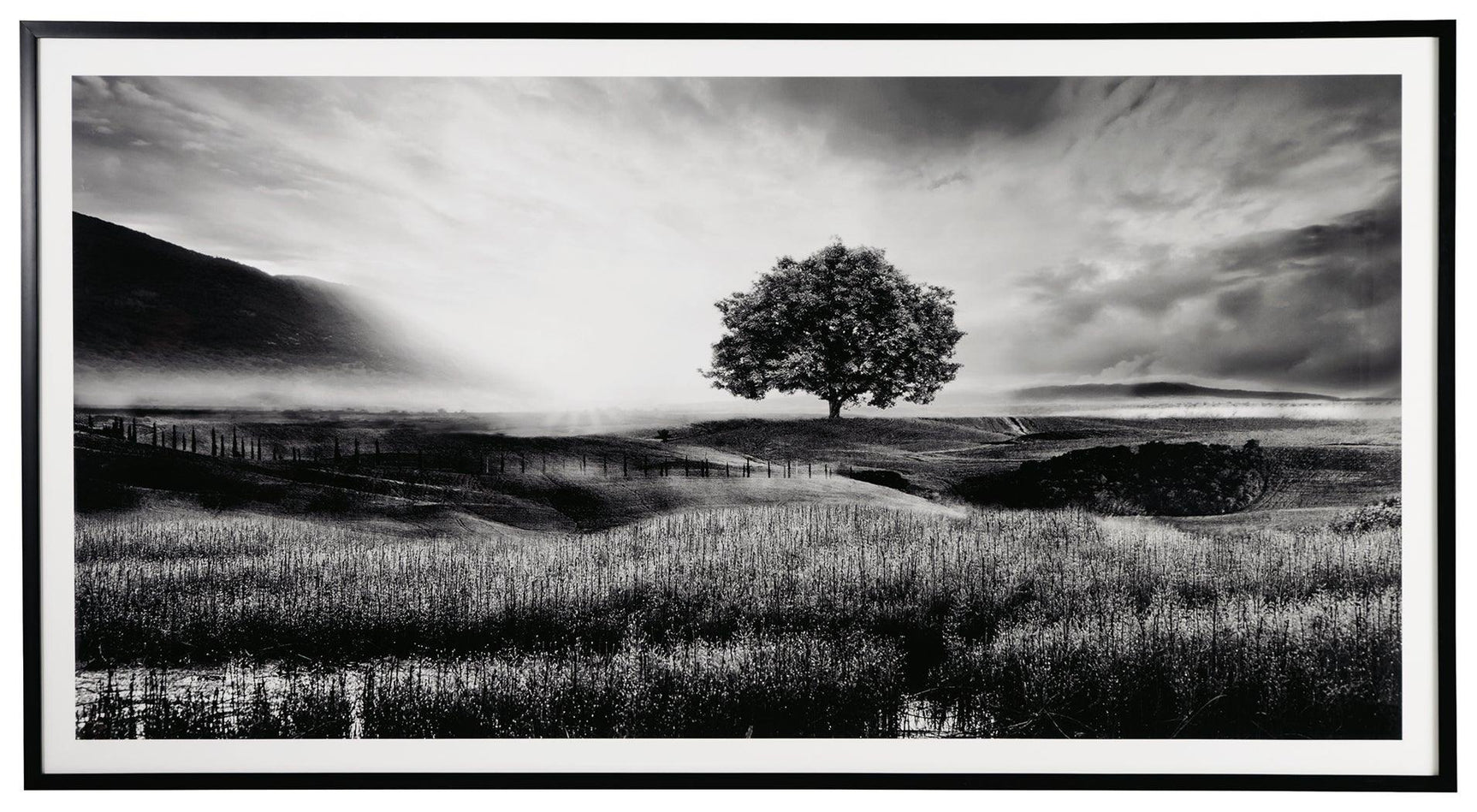 Deborland Black/White Wall Art - Ella Furniture