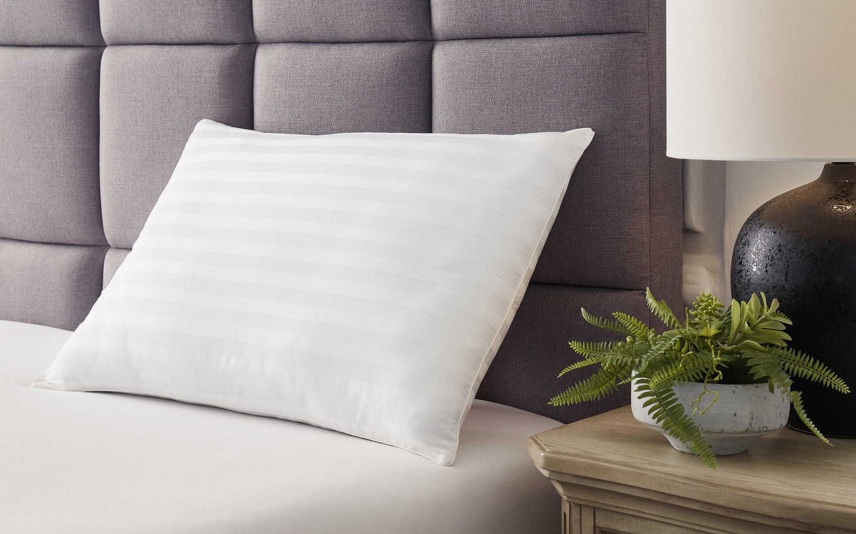 Zephyr 2.0 White Pillow (Set Of 2)(9/Case) - Ella Furniture