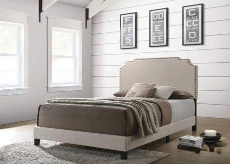 Tamarac Upholstered Nailhead Queen Bed Beige - Ella Furniture