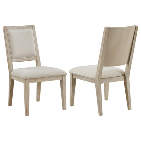 Trofello Cushioned Dining Side Chair White Washed (Set of 2) 123122 - Ella Furniture