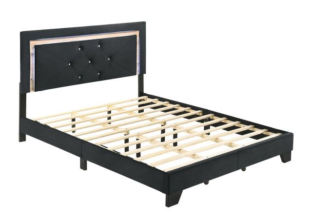 Wally Black Velvet Upholstered Tufted LED Platform Full Bed