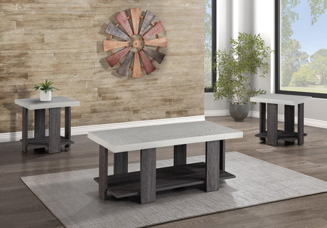Boris White/Gray Modern Contemporary Solid Wood And Veneers Cocktail Coffee Table - Ella Furniture