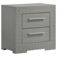 Ives 2 Drawer Nightstand Bedide Table Gray High Gloss