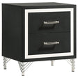 Lucia 2 Drawer Nightstand Bedide Table Black
