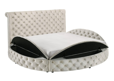 Brigitte Ivory Modern Solid Wood Velvet Upholstered Tufted Storage King Bed - Ella Furniture