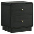 Cavelle 2-drawer Nightstand Bedide Table Black