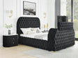Natalia Black Upholstered Tufted Panel Queen Bed