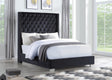 Lomuna Black Velvet Upholstered Tufted Queen Bed