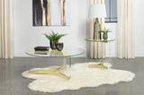 Janessa 2-piece Acrylic Coffee and End Table Set Matte Brass