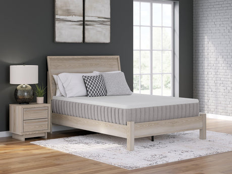 Terra Sleep Medium White Queen Mattress