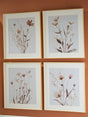 Chettings Beige/Gray/Blush Wall Art (Set of 4)
