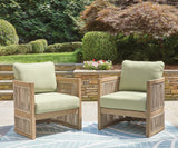 Serena Beige/Green Shores Outdoor Sofa and Chair