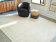 Wolbert Tan/Ivory 7'8" x 10' Area Rug