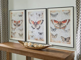 Jossletts Orange/Black/Ivory Wall Art (Set of 3)