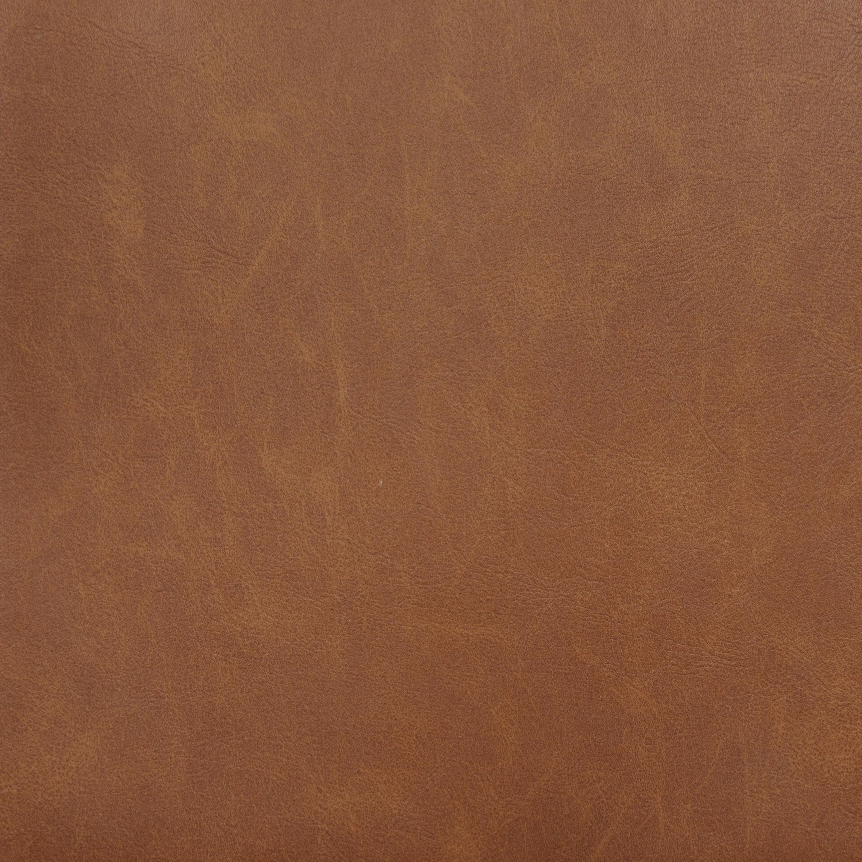 Tegan Faux Leather Upholstered Dining Side Chair Cognac (Set of 2)
