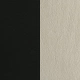 Redbridge Velvet Upholstered Side Chair Cream and Black (Set of 2)