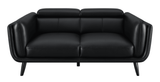 Shania 2-Piece Track Arms Living Room Set Black