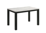 Resia Black White Rectangular Dining Room Set