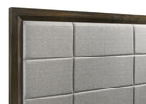 Atlas 63-inch Queen Upholstered Panel Bed Grey and Dark Oak