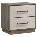 Fenwick 2-drawer Nightstand Bedide Table Gray Oak 224982