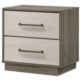Fenwick 2-drawer Nightstand Bedide Table Gray Oak 224982