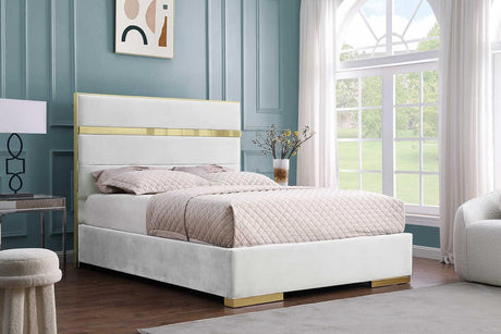 Cartier Ivory/Gold Modern Contemporary Solid Wood Velvet Upholstery Platform King Bed - Ella Furniture