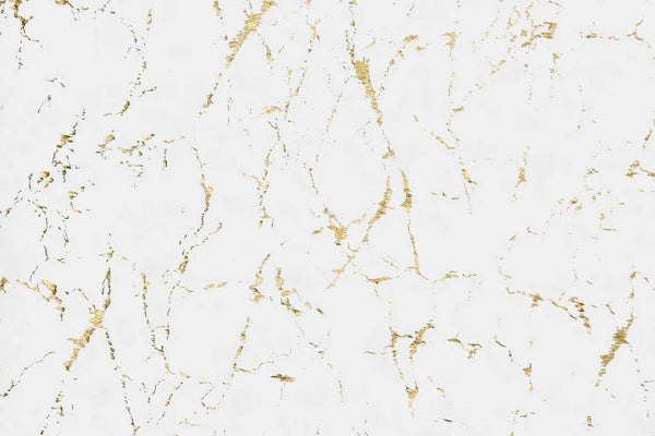 Rabbit White/gold Modern Transitional Art Silk Shine Rug - Ella Furniture