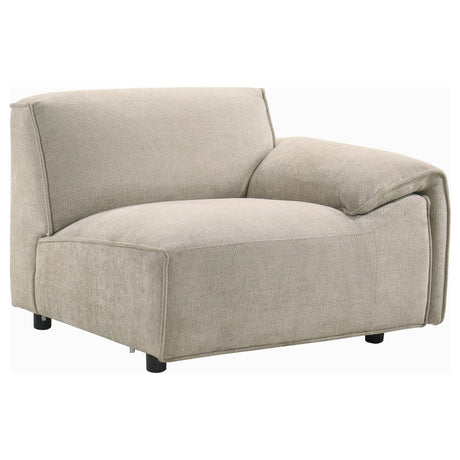 Crane 5-piece Modular Sectional Sofa Beige — product image 13