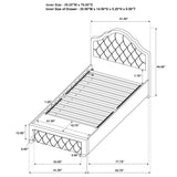 Ashleigh 44-inch Upholstered Twin Storage Platform Bed Pink