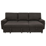 Demko Sleeper Sectional Sofa with Speaker and Storage Chaise Brown