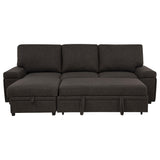 Demko Sleeper Sectional Sofa with Speaker and Storage Chaise Brown