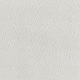 Aleisha Chenille Upholstered Accent Chair Ivory