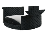 Voltare Black Upholstered Tufted Panel Queen Bed