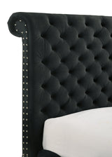 Voltare Black Upholstered Tufted Panel Queen Bed