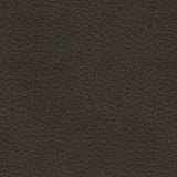 Femley Smoke Faux Leather Recliner