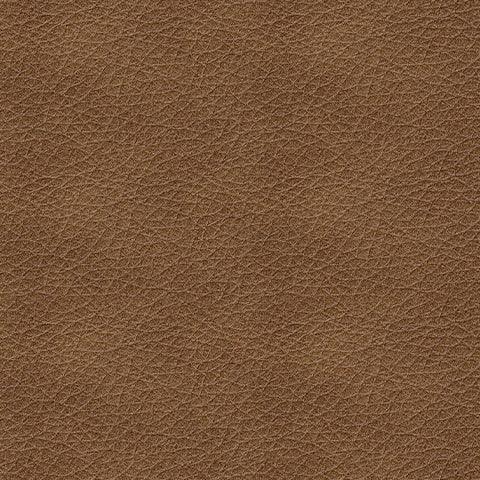 Bolsena Caramel Leather 2-Seat Loveseat
