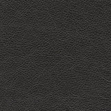 Amiata Onyx Leather Sofa