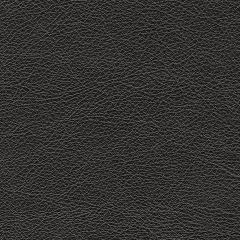 Amiata Onyx Leather Sofa