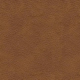 Carianna Caramel Leather Queen Sofa Sleeper - Ella Furniture
