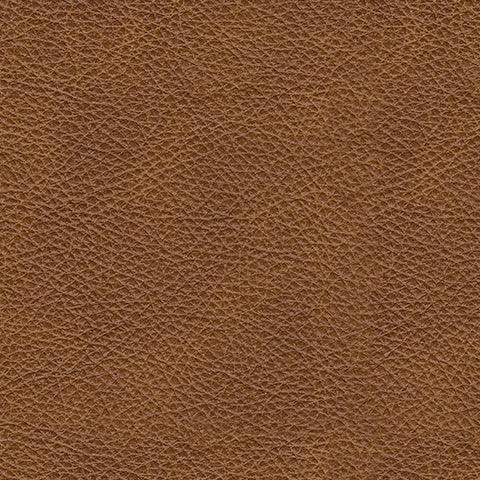 Carianna Caramel Leather Queen Sofa Sleeper - Ella Furniture