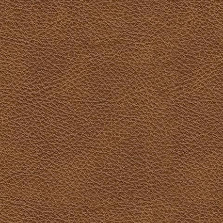 Carianna Caramel Leather Queen Sofa Sleeper - Ella Furniture
