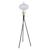 Sito Black Gold Floor Lamp