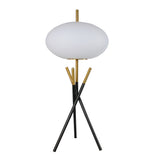 6293T Table Lamp