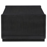 Leandro 2-drawer Wood Cocktail Coffee Table Burnished Black